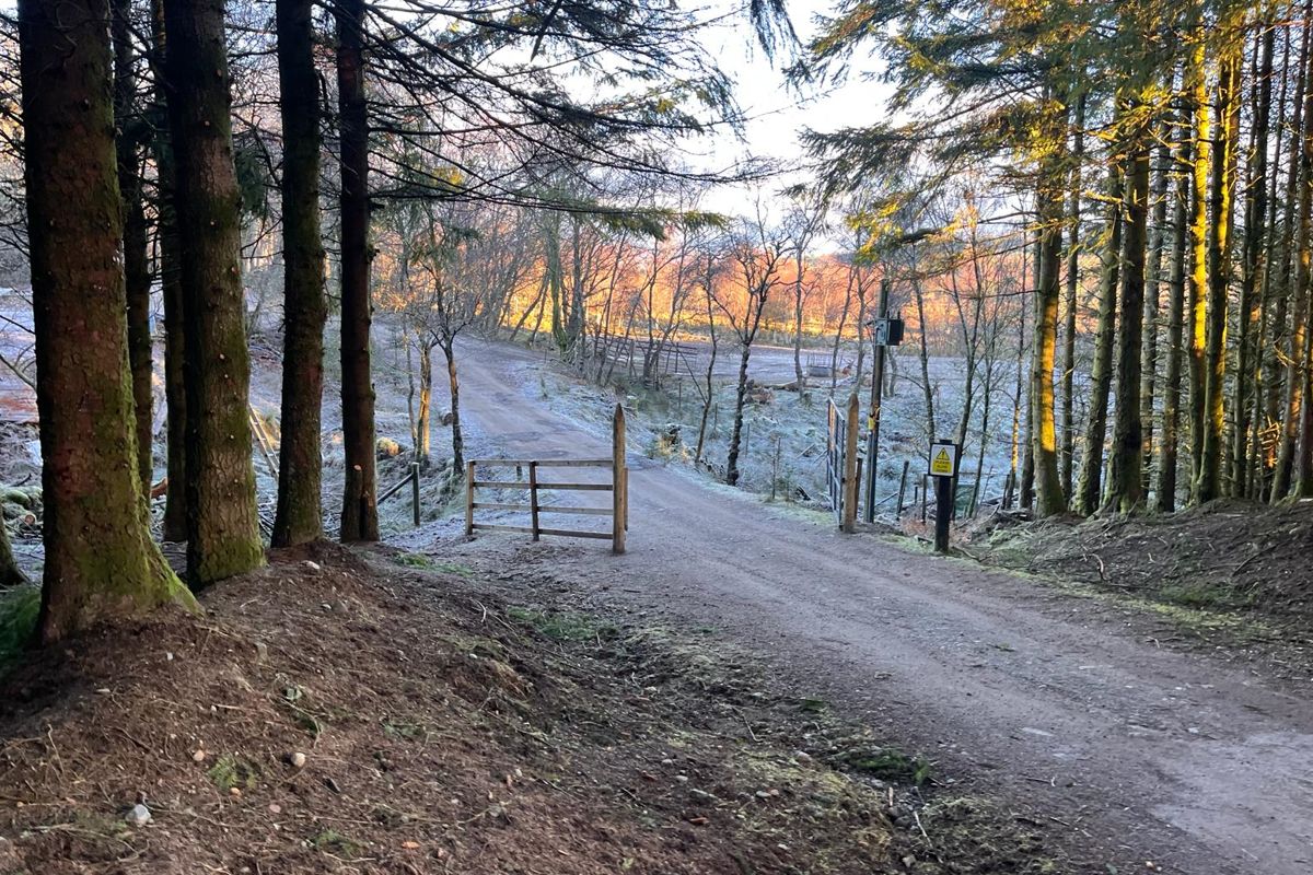 Future Property Auctions