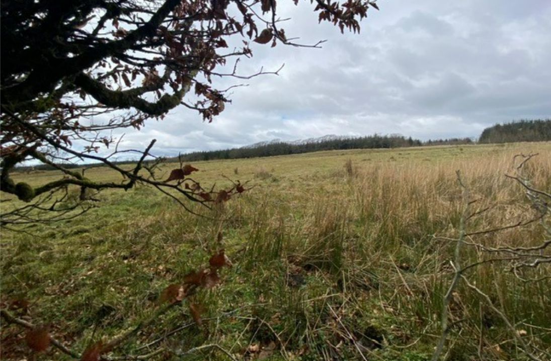 Land At Muirhead Farm, Newmilns, KA16 9LS