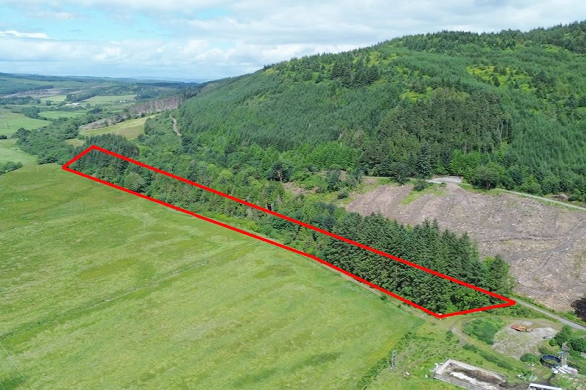 Plot of Land LOT 14