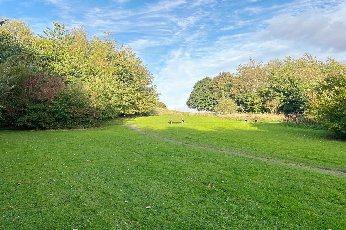 Plot of Land