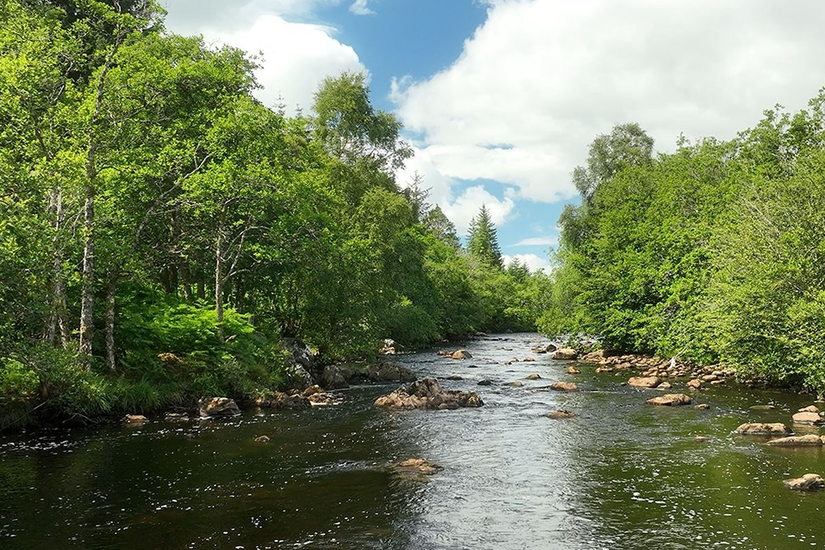 Auction Details The Salmon Falls, Plot 5, Garve, North Coast 500