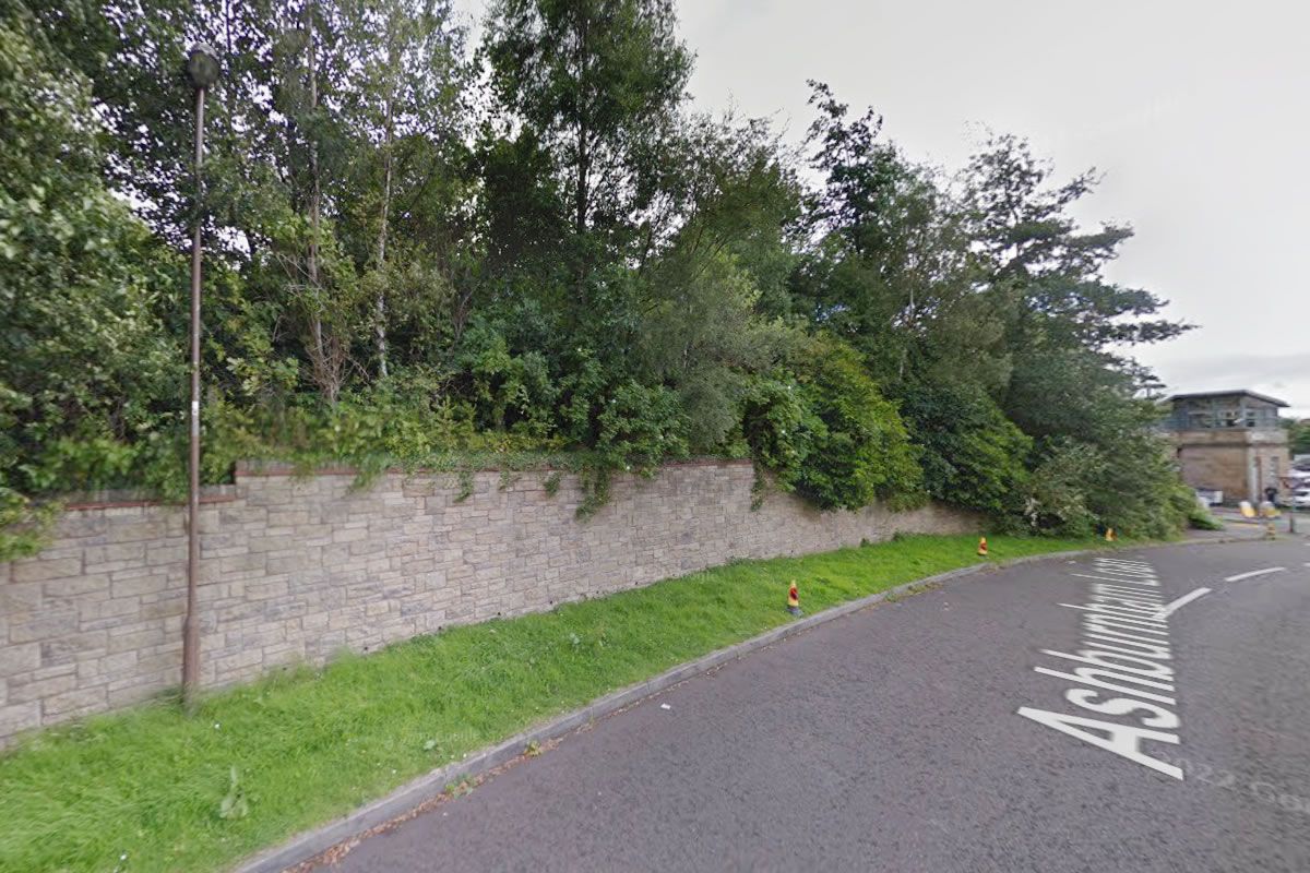 Auction Details Land at Station Road/Ashburnham Loan, South