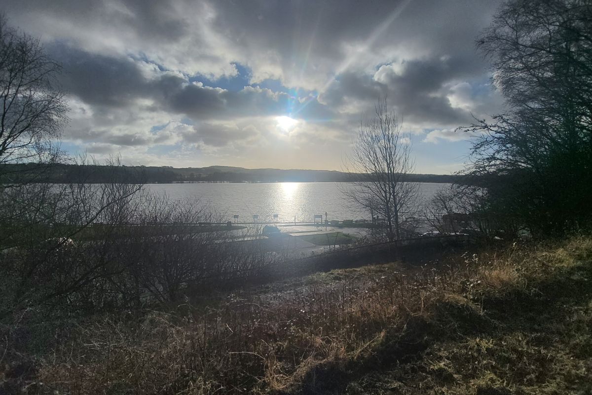 Auction Details Land at Loch Semple, Castle Semple, Lochwinnoch