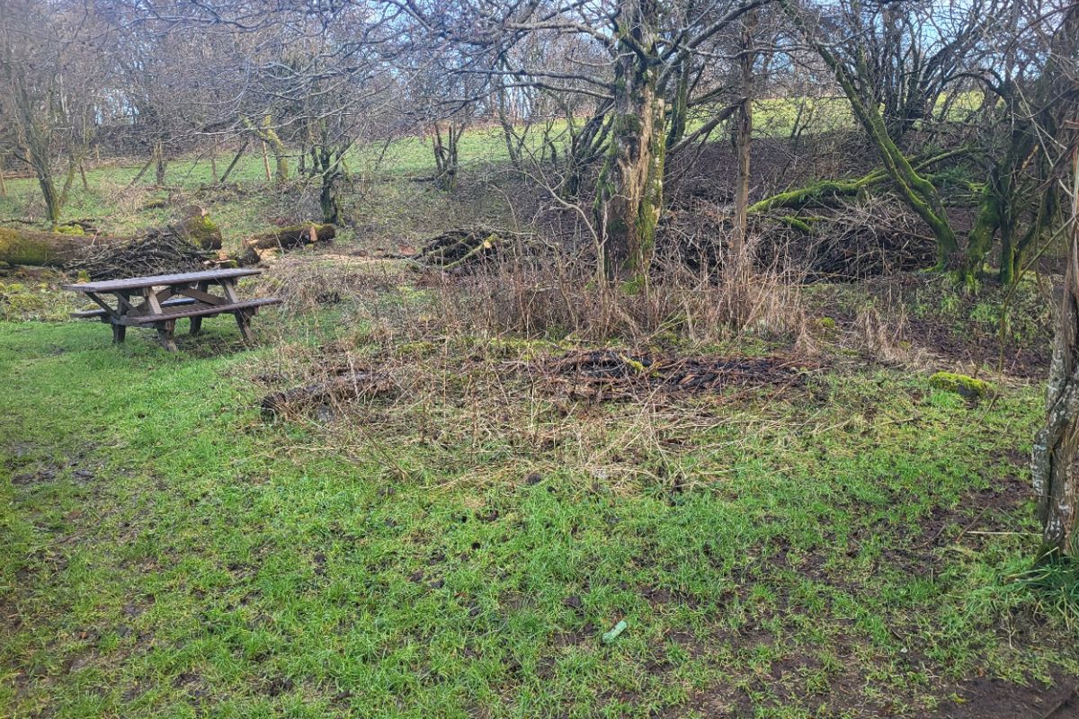 Auction Details Land at Loch Semple, Castle Semple, Lochwinnoch