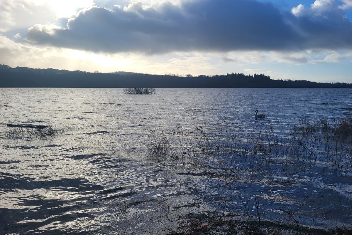 Auction Details Land at Loch Semple, Castle Semple, Lochwinnoch