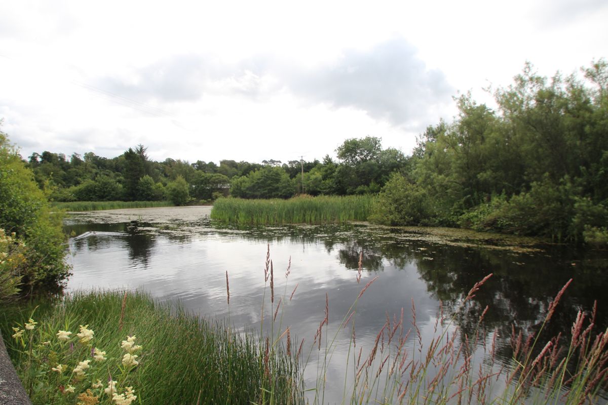 Auction Details 32 St Cuthbert St, Flats B and D, Catrine, Ayrshire GUIDE PRICE £72,000