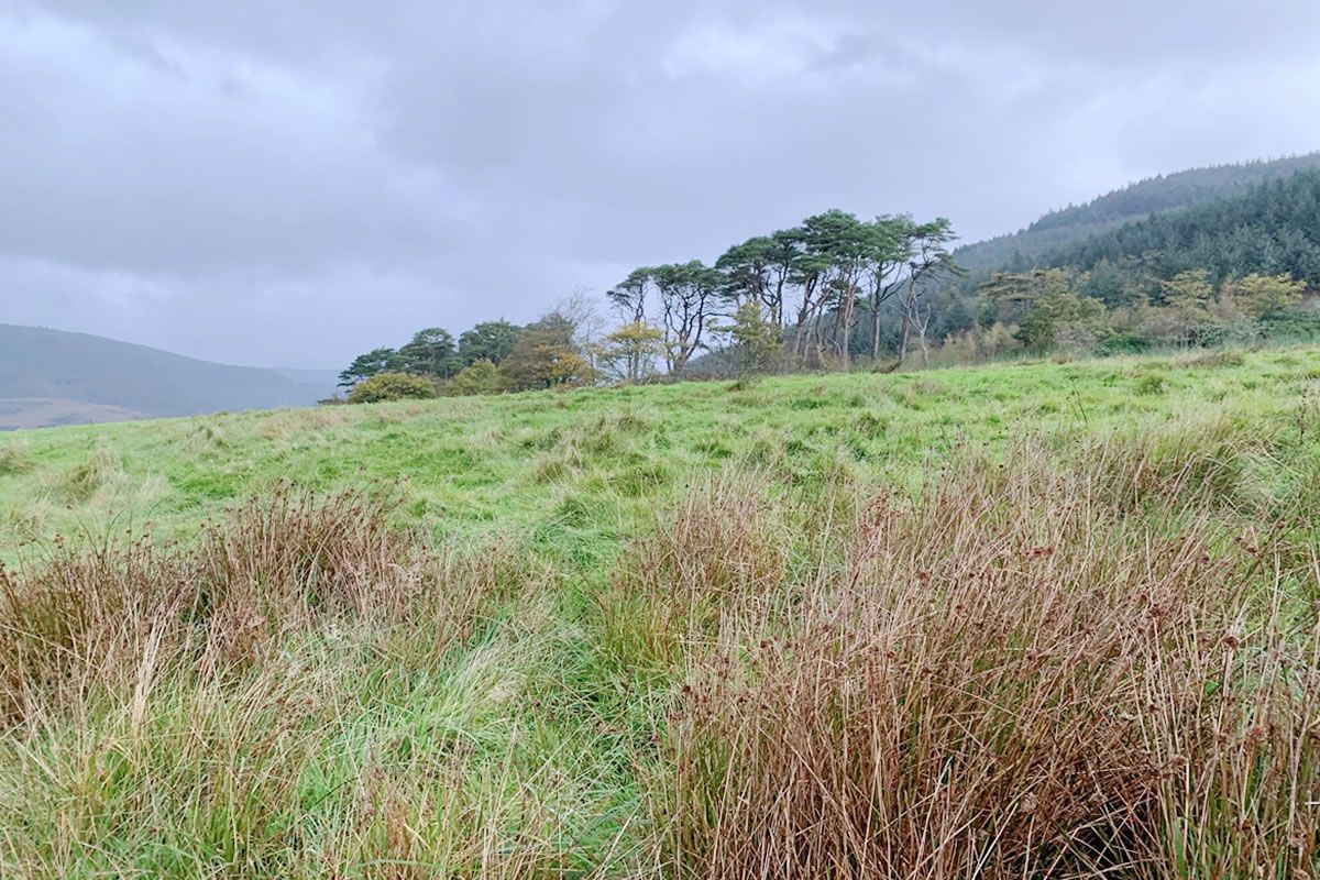 Plot 3, Toshs Park, Carradale, Campbeltown, PA28 6QN