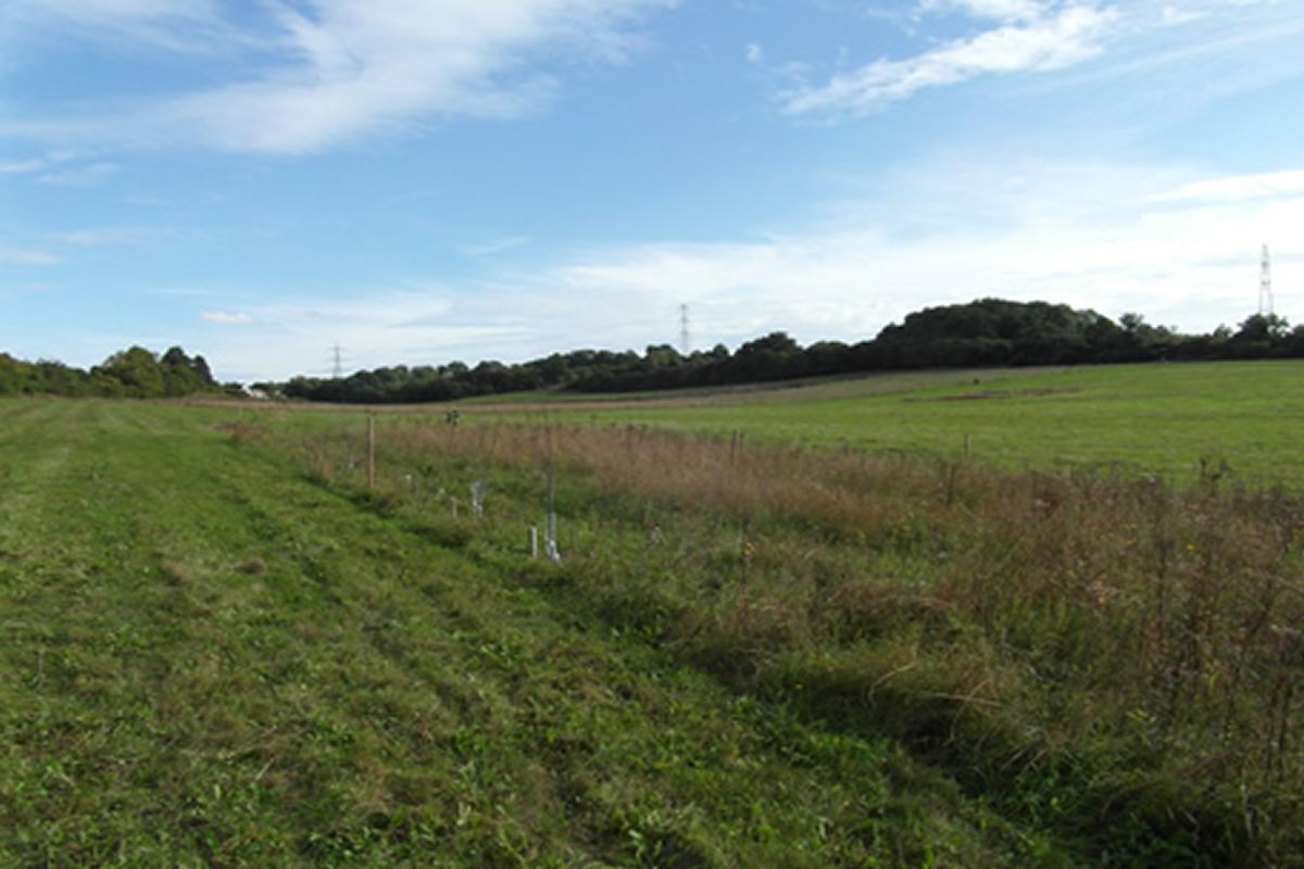 Plot D11 Milchden Blackness Lane, Keston, Bromley, London, BR2 6HL