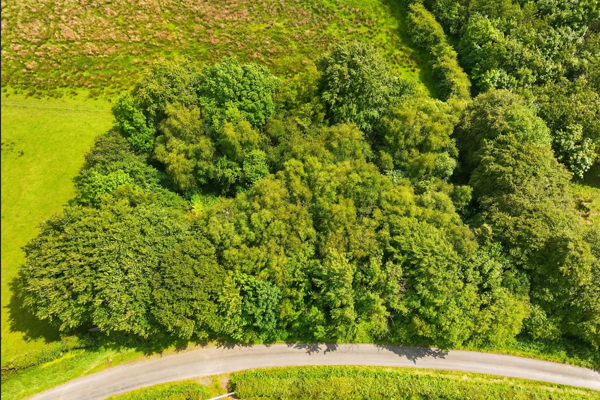 0.754 acre Site at Torranyard, Kilwinning, KA11 2AP