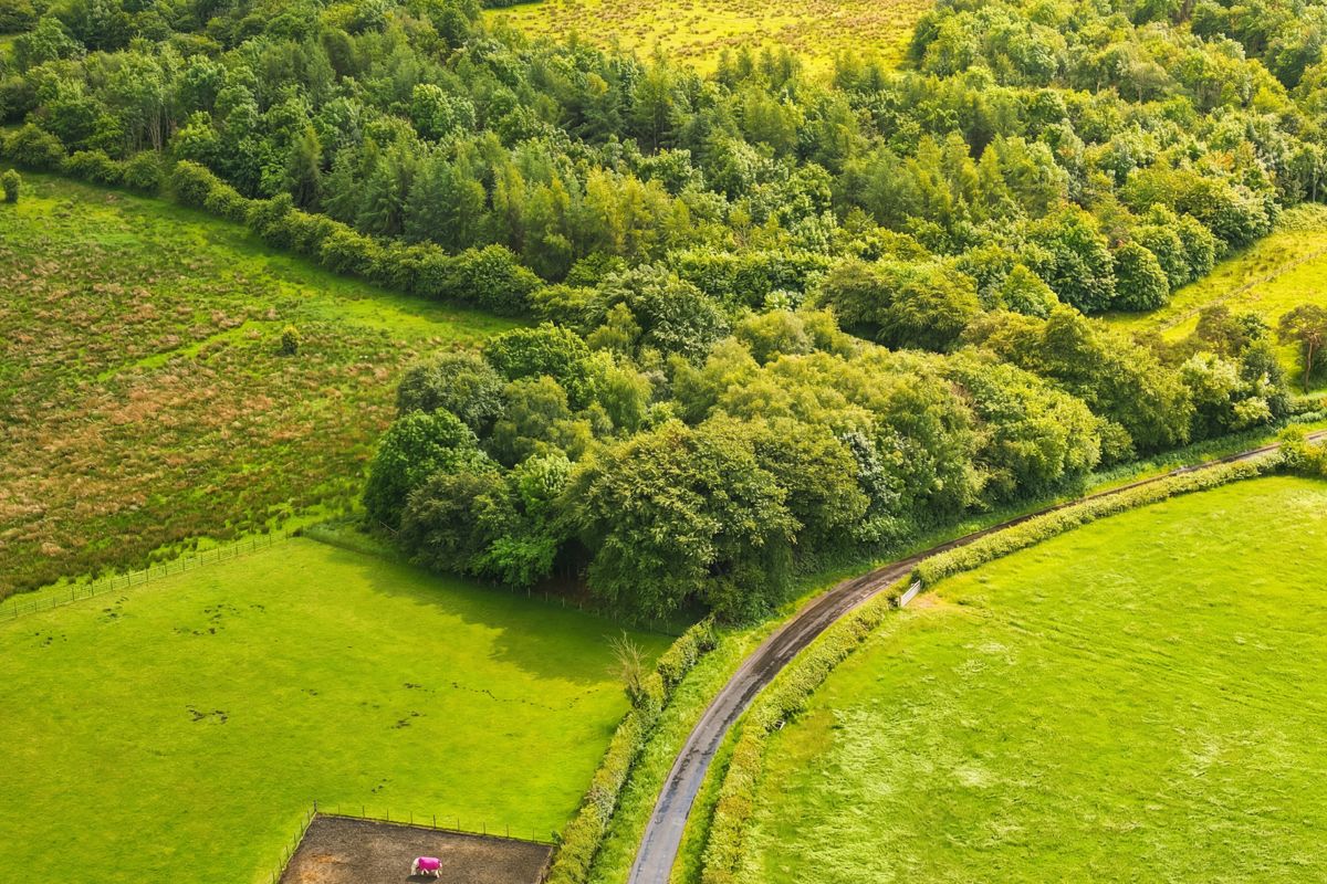 0.754 acre Site at Torranyard, Kilwinning, KA11 2AP