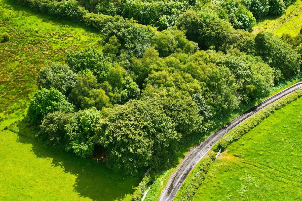 0.754 acre Site at Torranyard, Kilwinning, KA11 2AP
